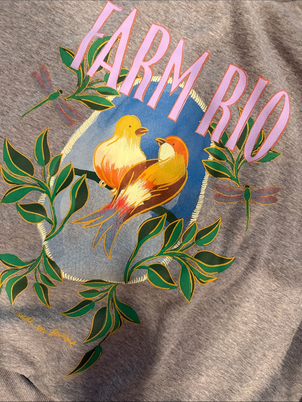 Farm Rio Heather extremely plus Grey Sweatshirt with Colorful Bird Graphic - Picture 3 of 3